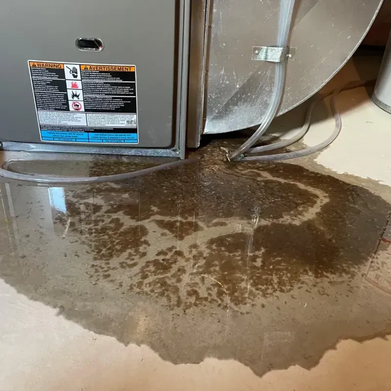 Appliance Leak Cleanup in Iroquois County, IL